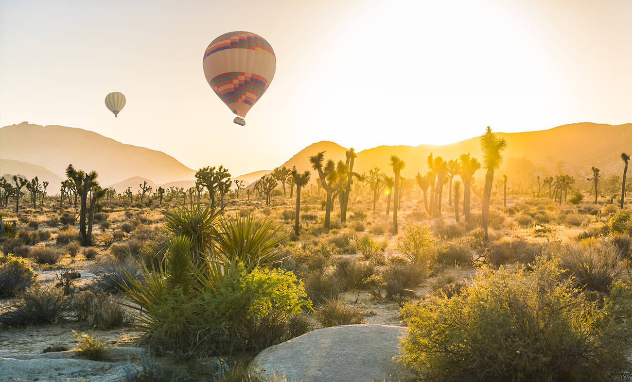 Hot Air Balloons Flying Over Desert
